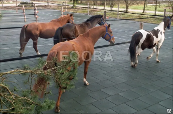 Маты из резиновой крошки для конюшни в Ступино